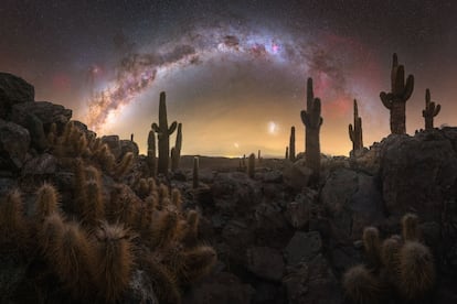 'Valle de los Cactus'. San Pedro de Atacama, Chile.