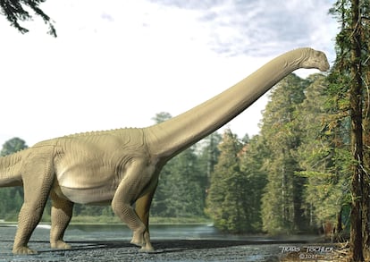 Diamantinasaurus matildae
