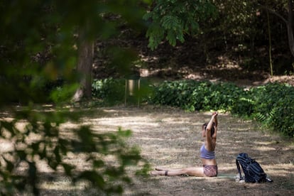 El jardín botánico histórico en Montjuic, Barcelona, uno de los refugios climáticos para el verano.